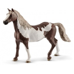 Valach paint horse